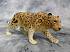 Фигурка Gulliver Collecta - Амурский леопард, XL  - миниатюра №1